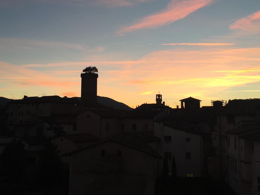 Dependance Civitali37 Lucca Dış mekan fotoğraf