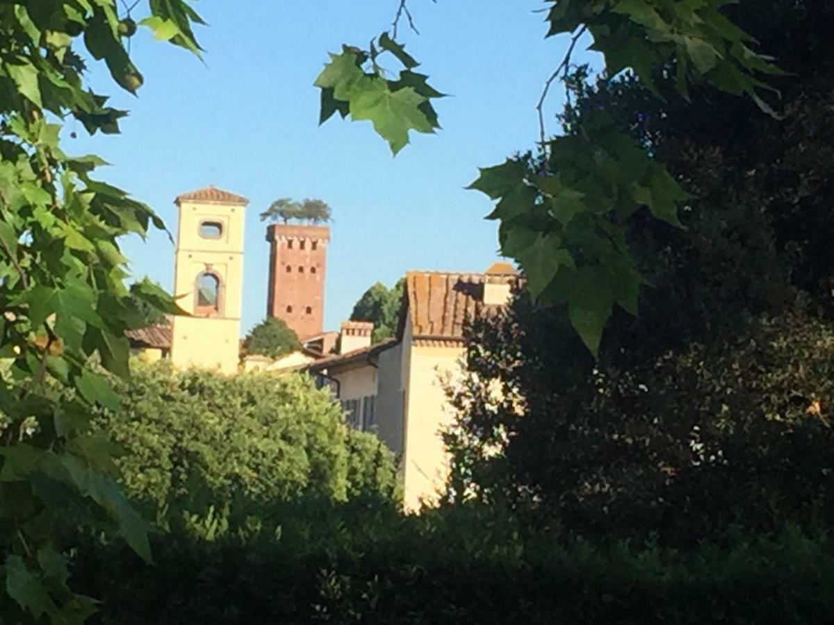 Dependance Civitali37 Lucca Dış mekan fotoğraf